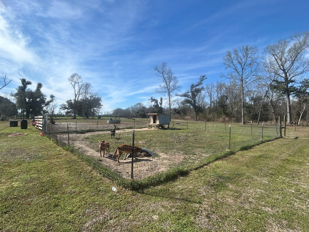 4717 State Line Road Cottonwood, AL 36320 - Photo 32 of 37