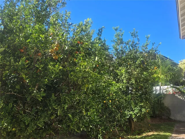 a view of a city with lush green forest