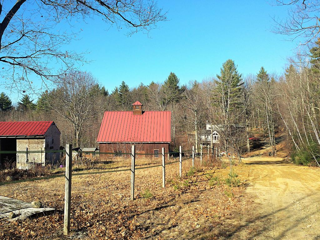 Gallery Image 1