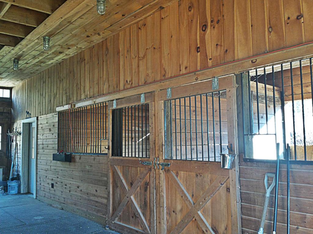 Gallery Image 7