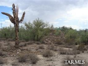 0 North Blue Bonnet Road Tucson, AZ 85742 - Photo 3 of 12