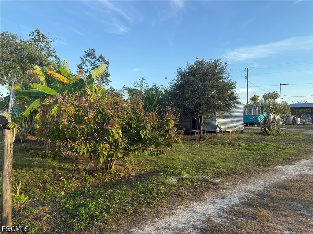 6724 5th Road LaBelle, FL 33935 - Photo 25 of 28 a view of a garden with a tree