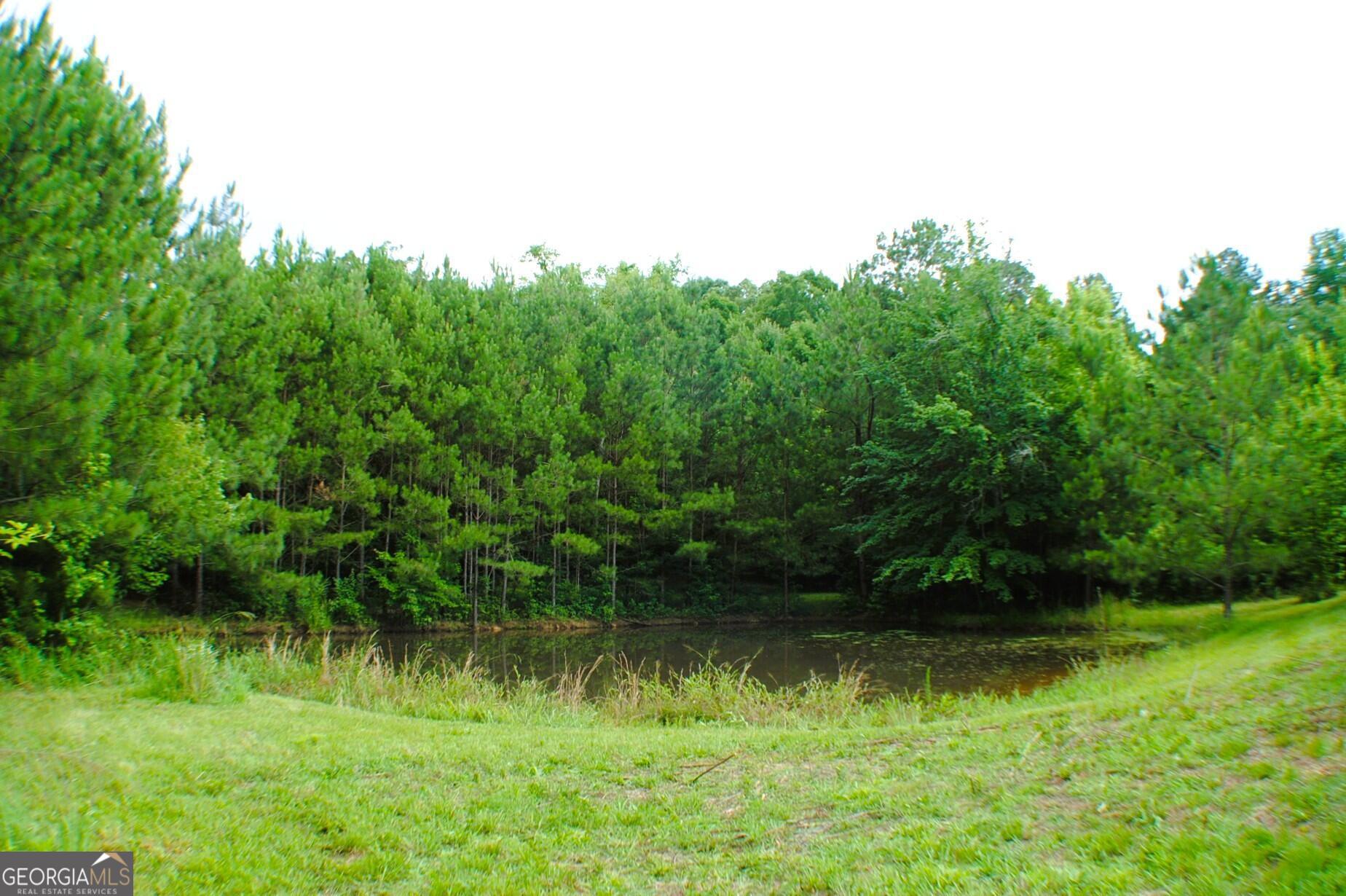 3602 Highway 41 Resaca, GA 30735 - Photo 3 of 12