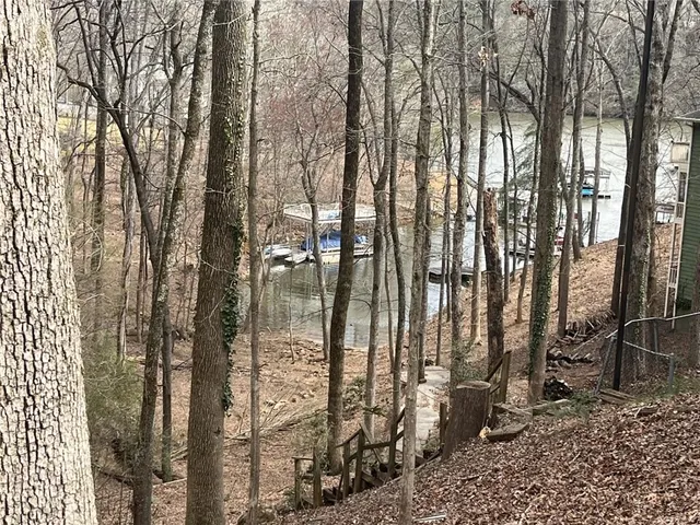 a view of outdoor space with lots of trees