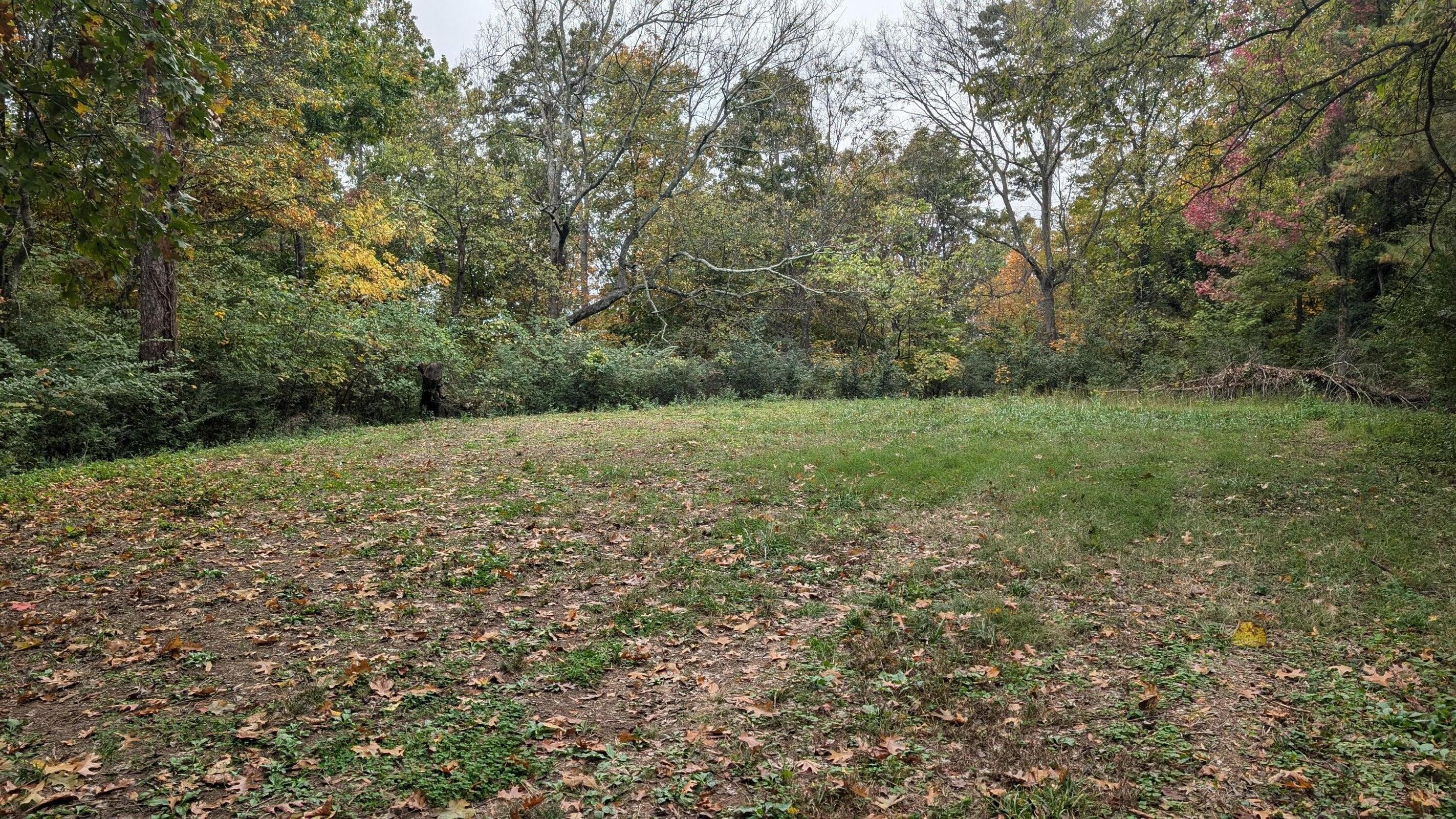 1121 Panorama Drive Chattanooga, TN 37421 - Photo 2 of 8 20250611201214769495000000-o