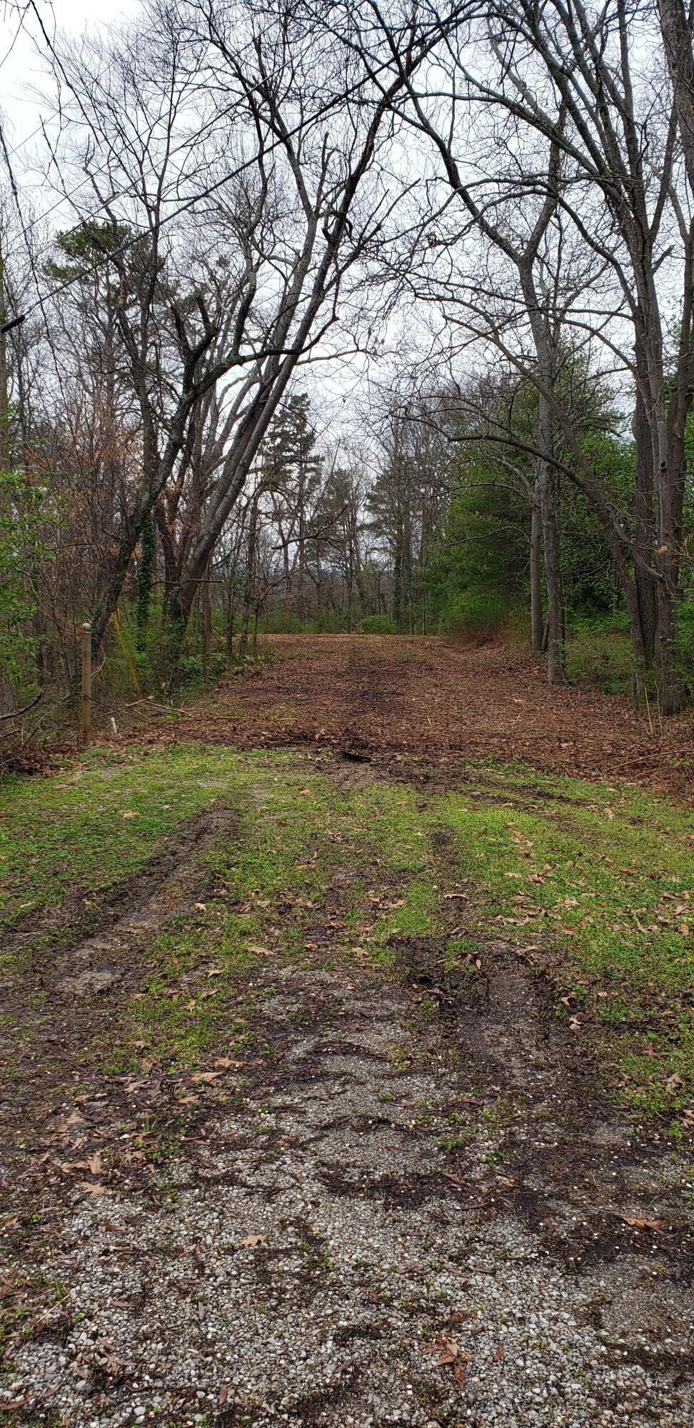 1121 Panorama Drive Chattanooga, TN 37421 - Photo 5 of 8 20231220181045238983000000-o