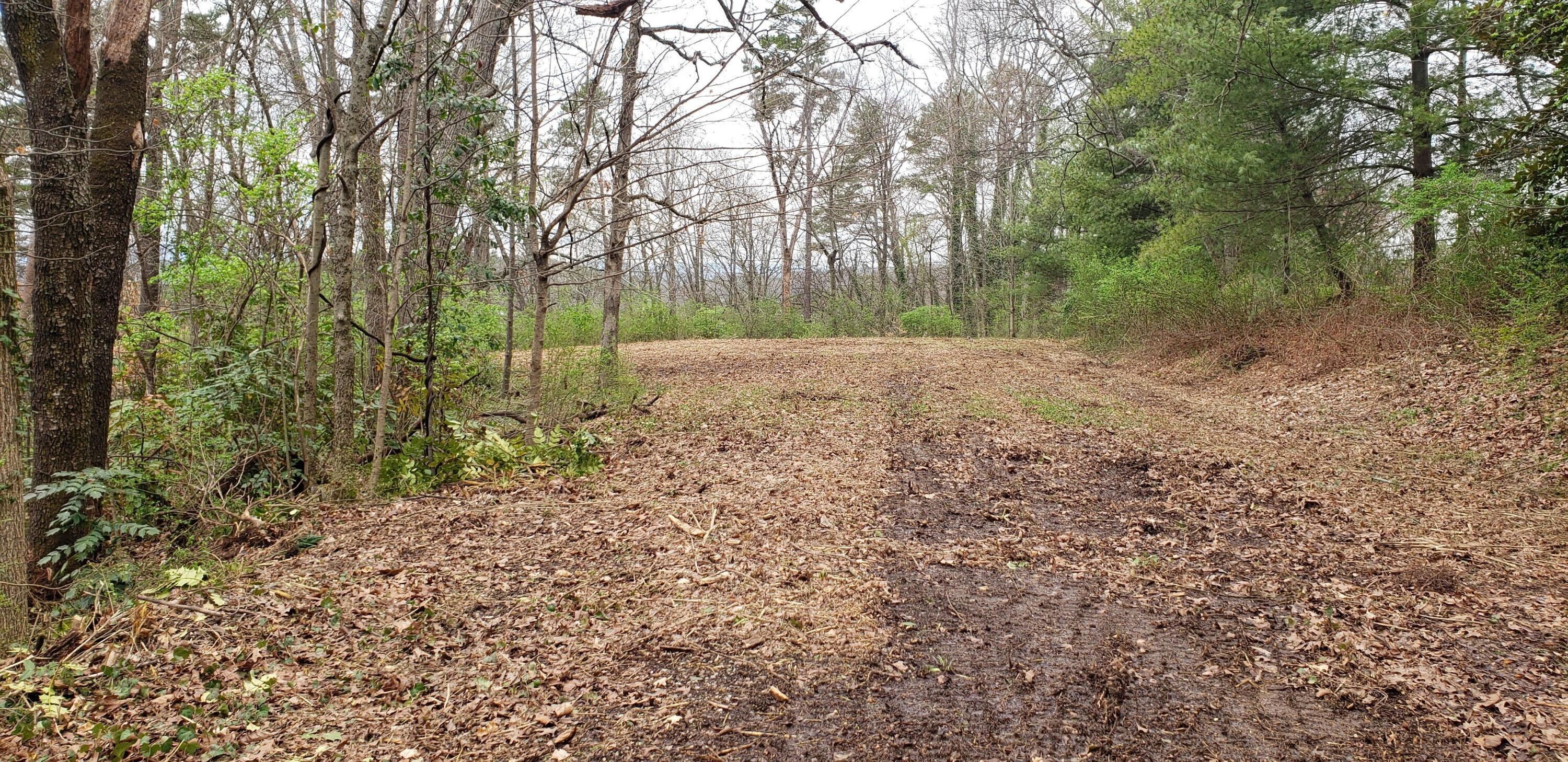 1121 Panorama Drive Chattanooga, TN 37421 - Photo 6 of 8 20231220181039862028000000-o