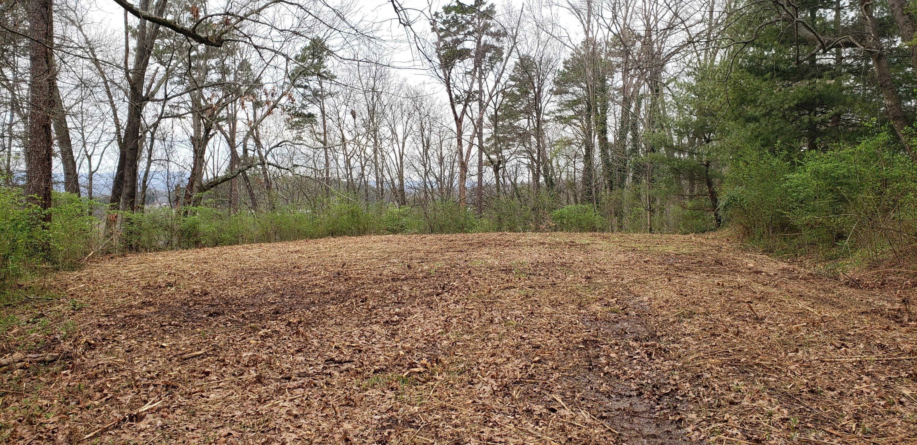 1121 Panorama Drive Chattanooga, TN 37421 - Photo 7 of 8 20231220181034561006000000-o