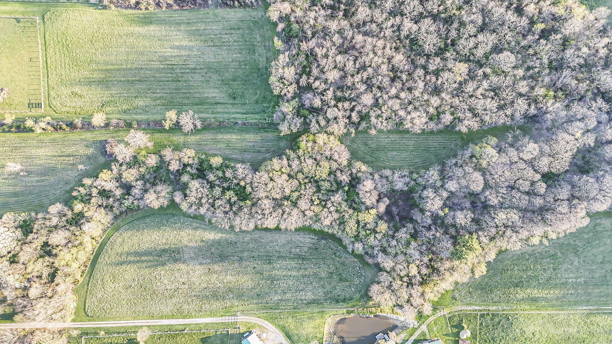 6164 Heigle Road Southwest Amanda, OH 43102 - Photo 36 of 43 37-web-or-mls-DJI_20260406192508_0152_D