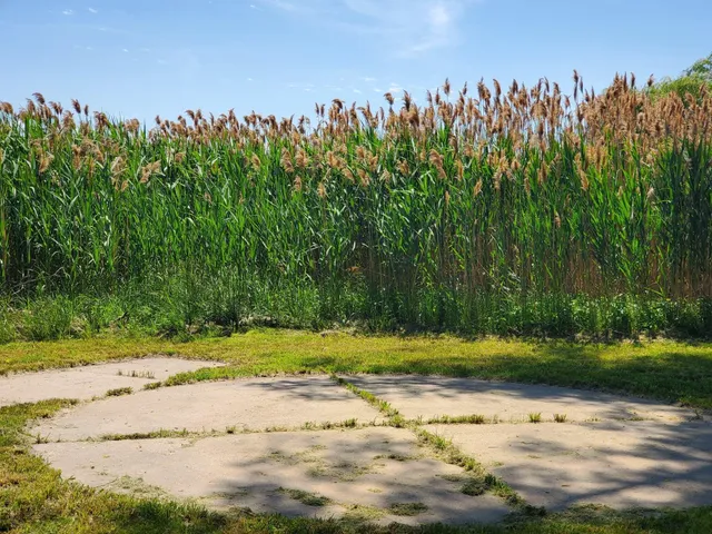 $139,900 | Lot 3 West Old Channel Trail, Montague, MI 49437