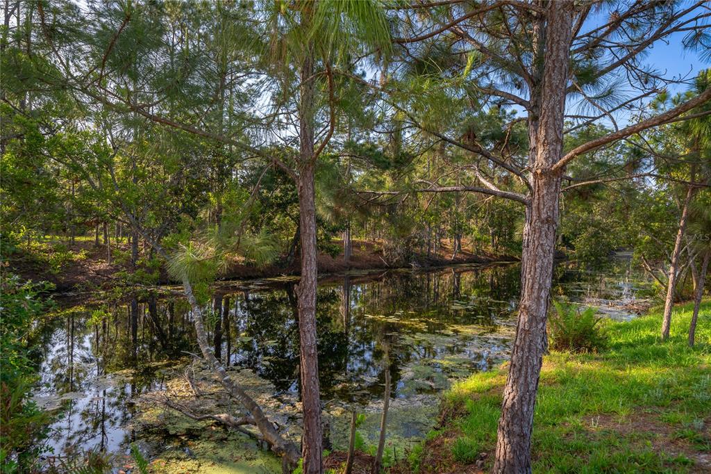 6708 Alder Road Harmony, FL 34773 - Photo 12 of 30