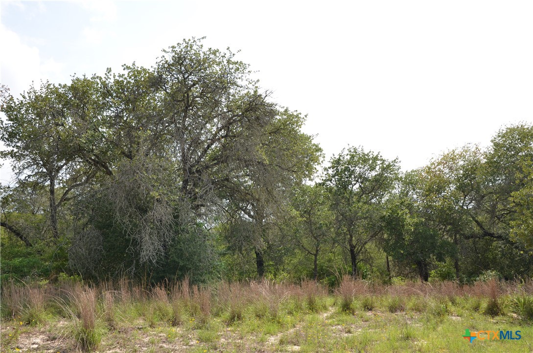 Lot 66 Powder Ridge Luling, TX 78648 - Photo 6 of 14