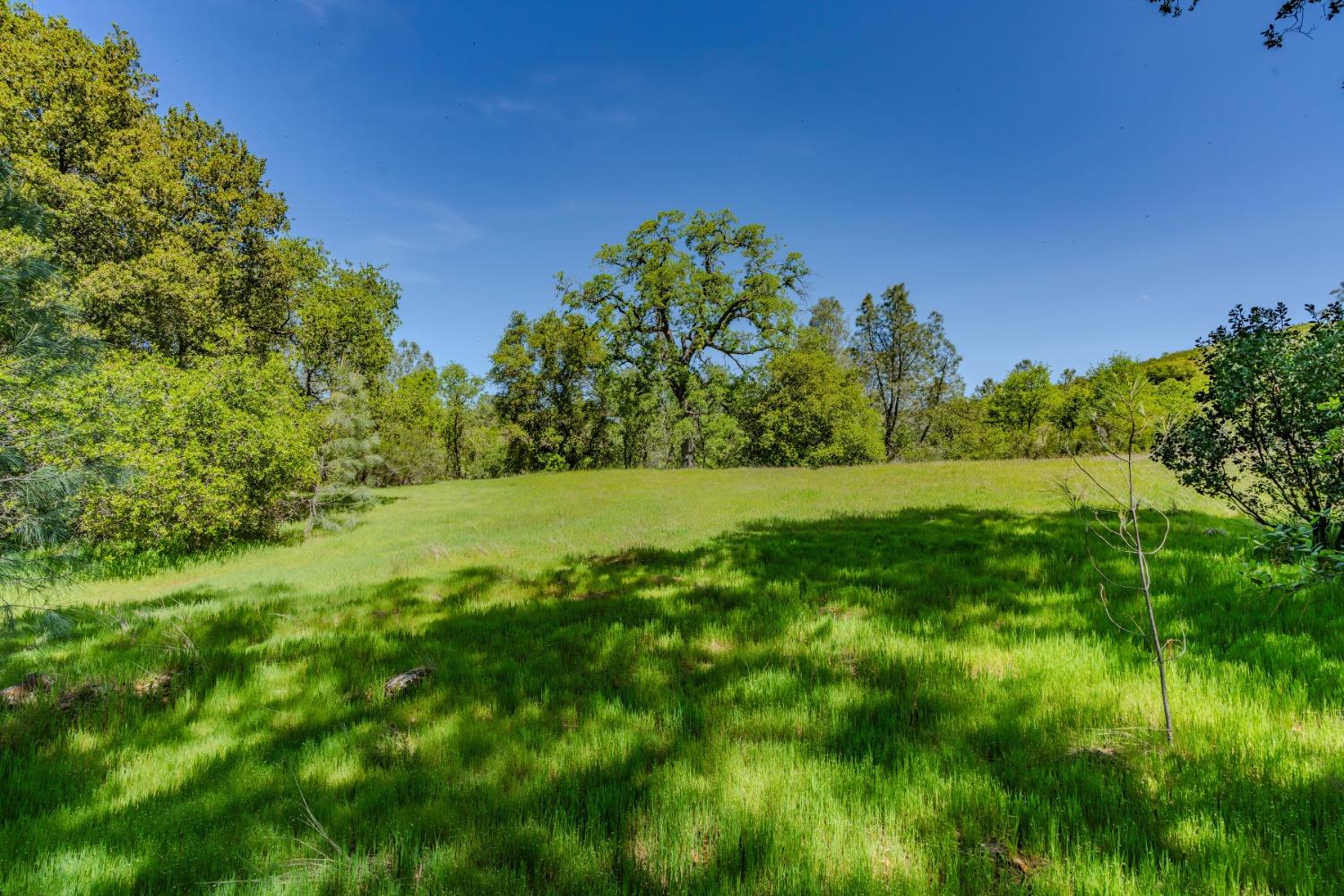 a view of yard with green space