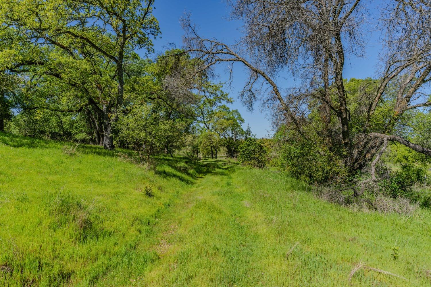 5650 Red Valley Road Ione, CA 95640 - Photo 13 of 64