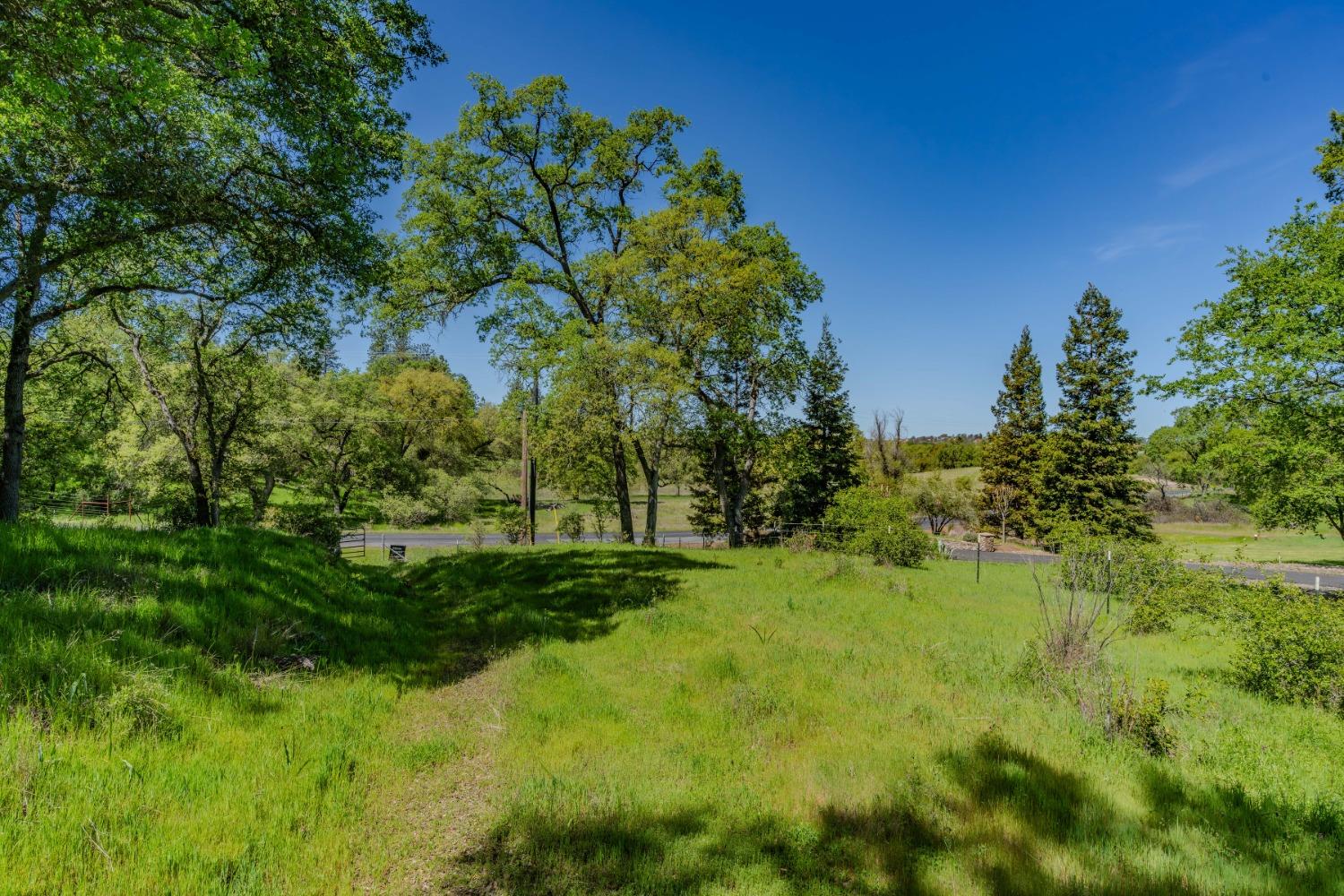 5650 Red Valley Road Ione, CA 95640 - Photo 16 of 64 a view of a garden