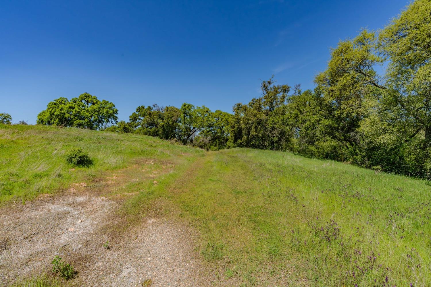 5650 Red Valley Road Ione, CA 95640 - Photo 19 of 64 a view of yard with swimming pool and green space