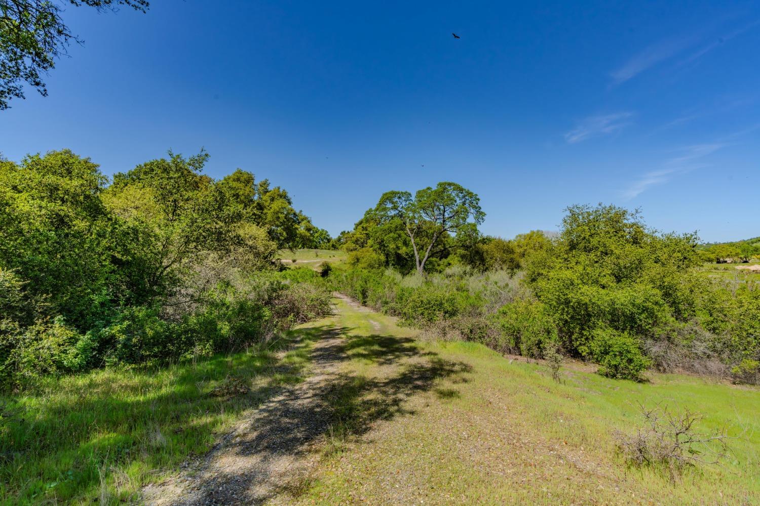5650 Red Valley Road Ione, CA 95640 - Photo 23 of 64 a view of a large yard with lots of green space