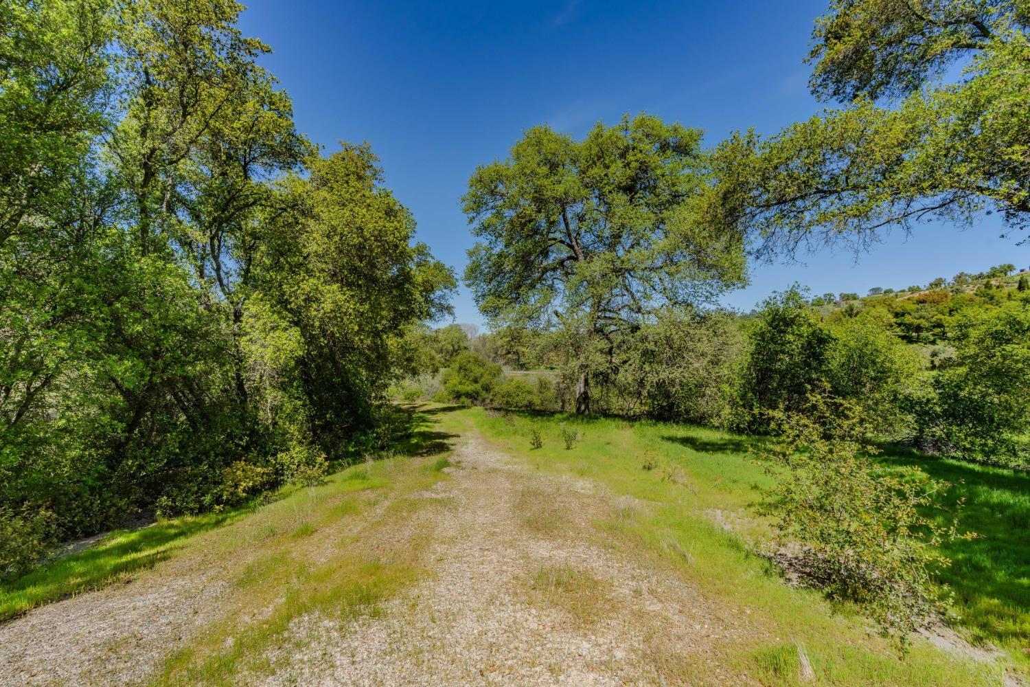 5650 Red Valley Road Ione, CA 95640 - Photo 24 of 64