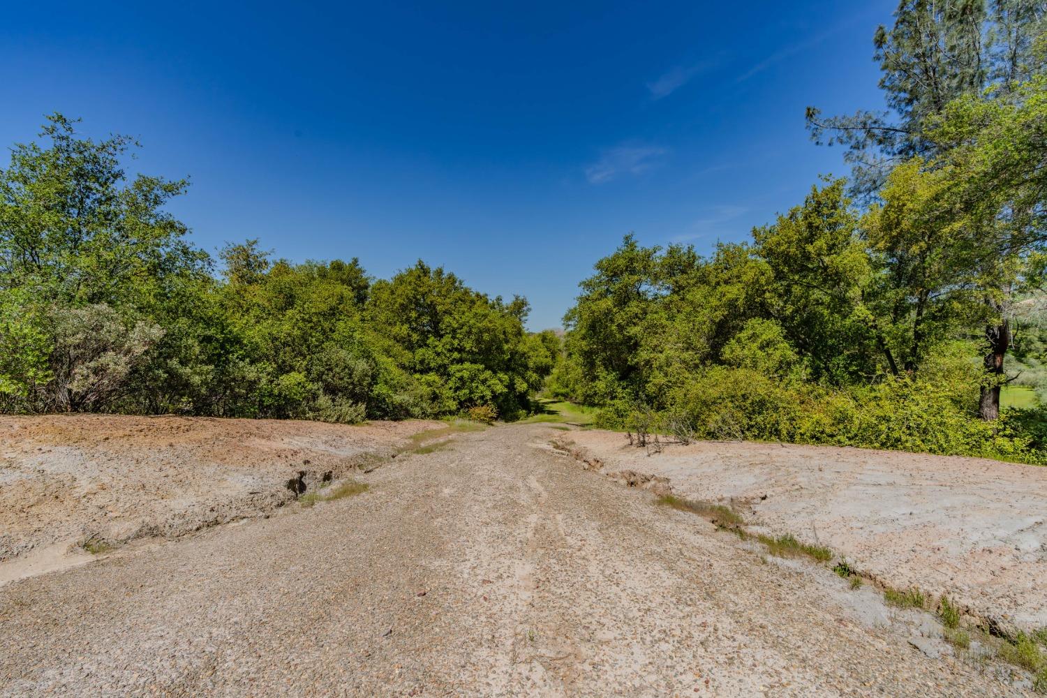 5650 Red Valley Road Ione, CA 95640 - Photo 26 of 64 a view of a dirt road and trees in the background
