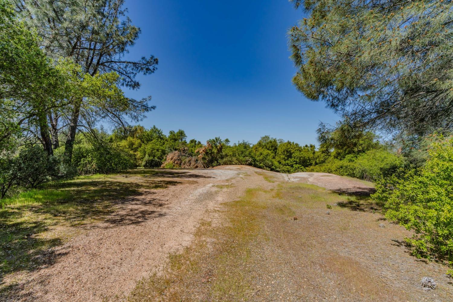 5650 Red Valley Road Ione, CA 95640 - Photo 28 of 64 a view of a yard with a house