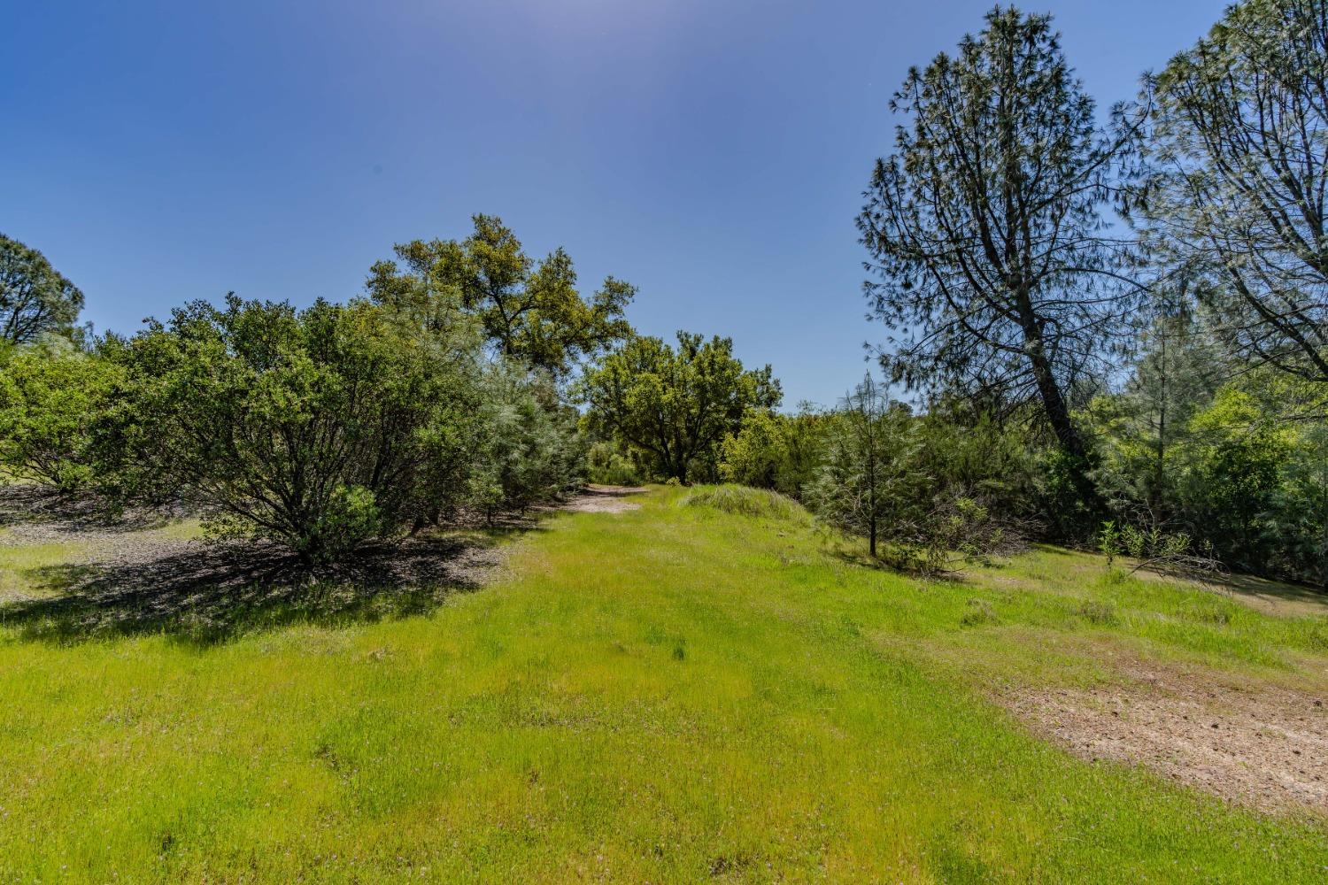5650 Red Valley Road Ione, CA 95640 - Photo 29 of 64 a yard with trees in the background