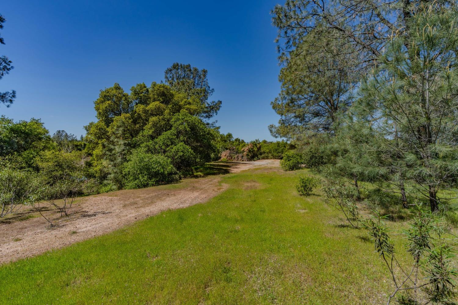 5650 Red Valley Road Ione, CA 95640 - Photo 30 of 64 a view of a lake with a yard