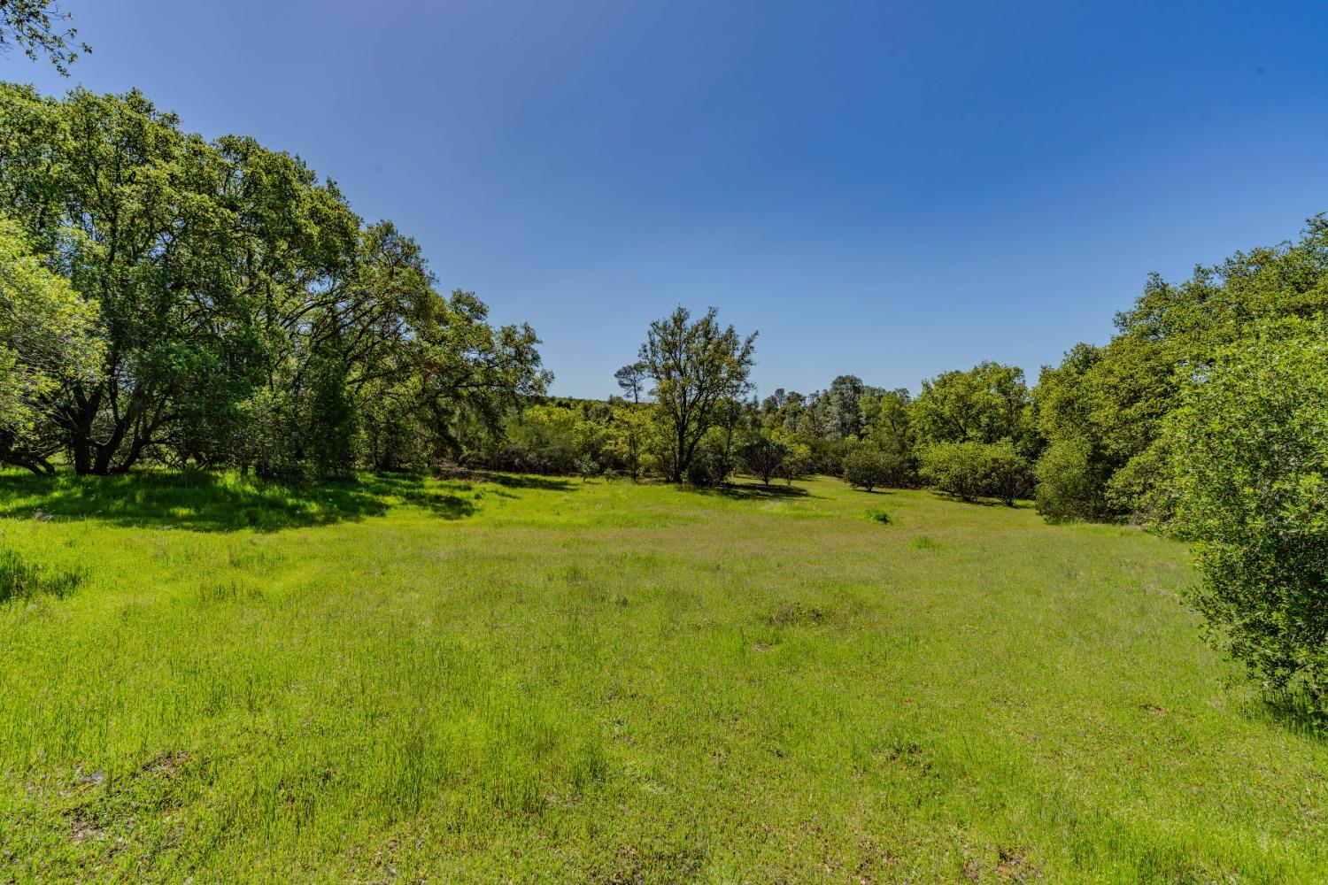 5650 Red Valley Road Ione, CA 95640 - Photo 3 of 64 a view of a big yard with swimming pool and green space