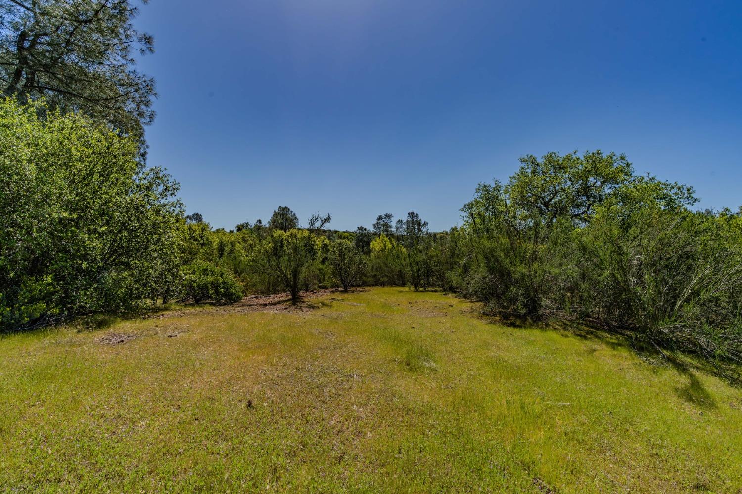 5650 Red Valley Road Ione, CA 95640 - Photo 31 of 64