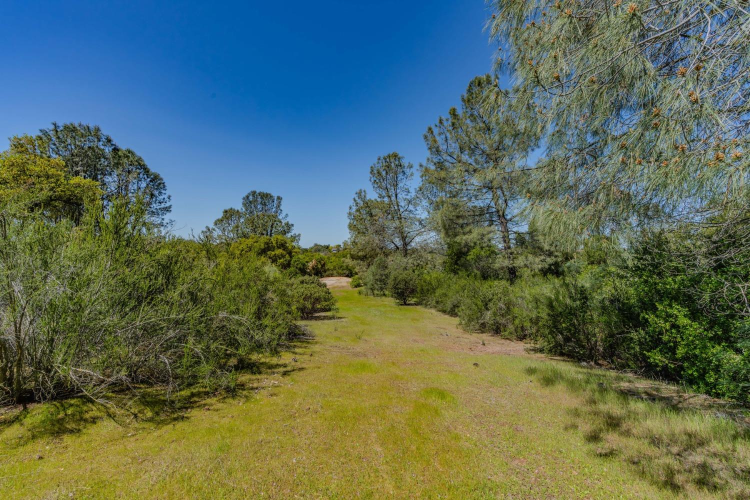 5650 Red Valley Road Ione, CA 95640 - Photo 33 of 64