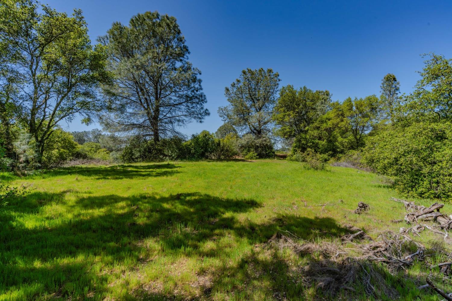 5650 Red Valley Road Ione, CA 95640 - Photo 35 of 64 a view of a garden with an trees