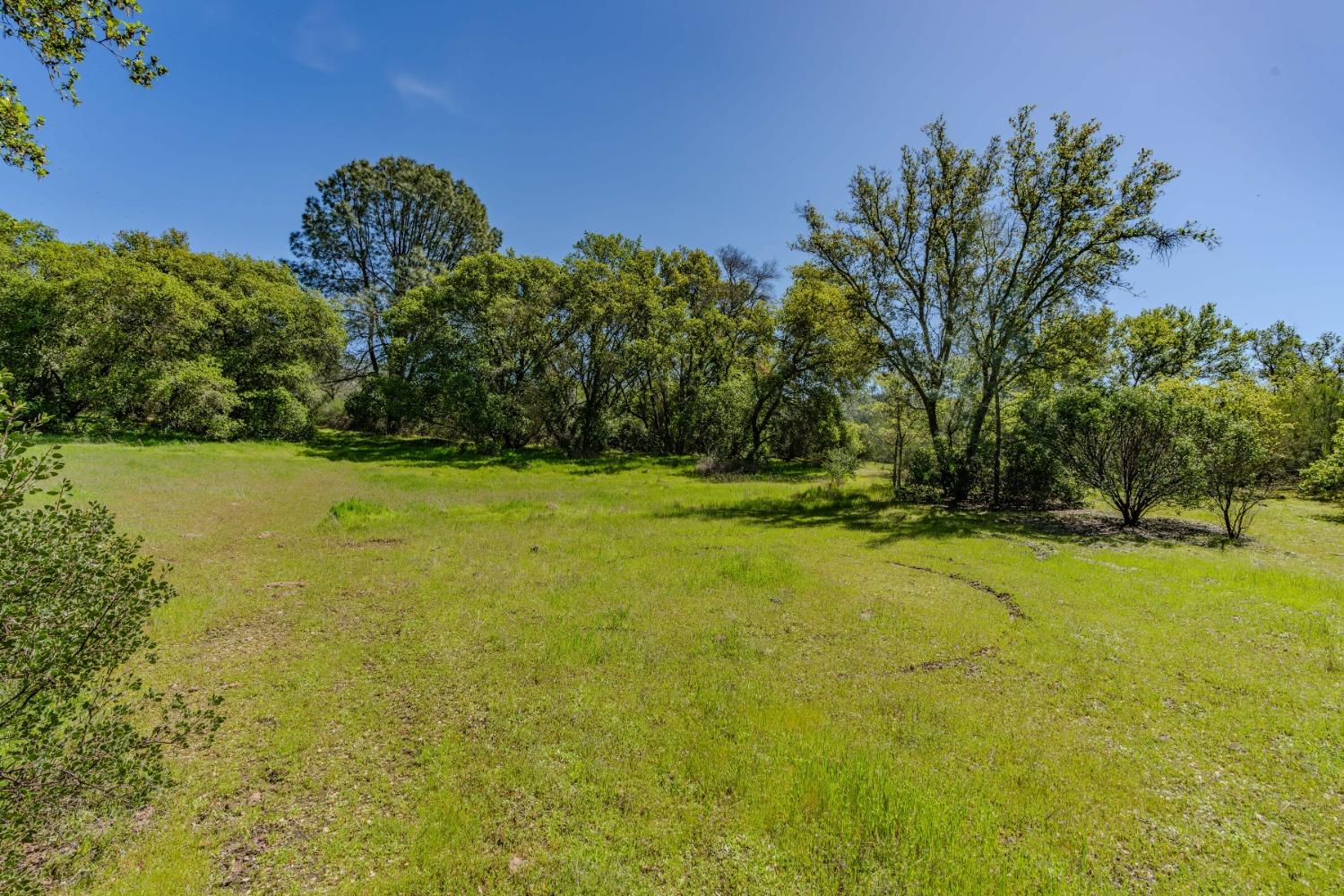 5650 Red Valley Road Ione, CA 95640 - Photo 36 of 64 a view of a yard with a house