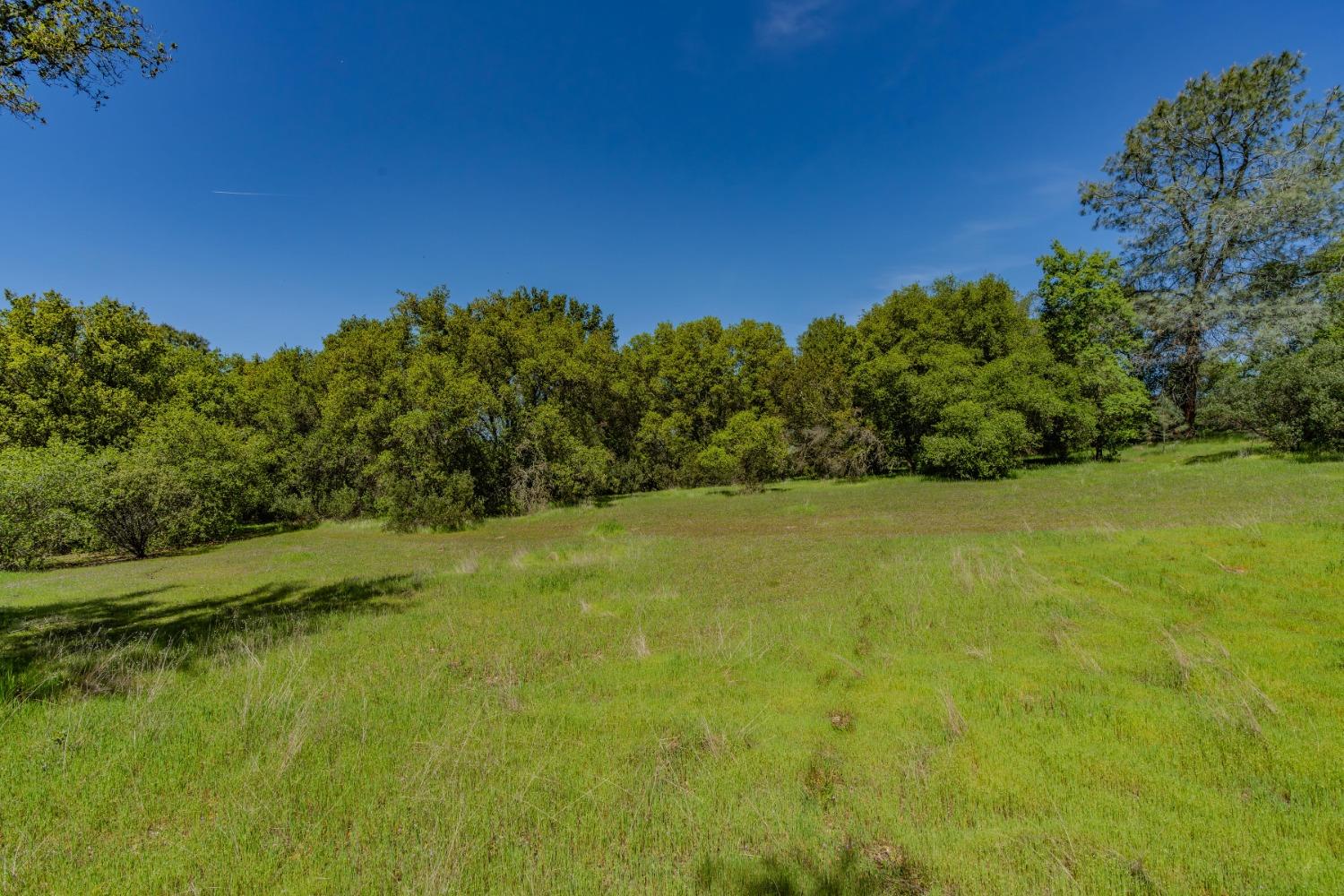 5650 Red Valley Road Ione, CA 95640 - Photo 37 of 64 a view of a field with an ocean