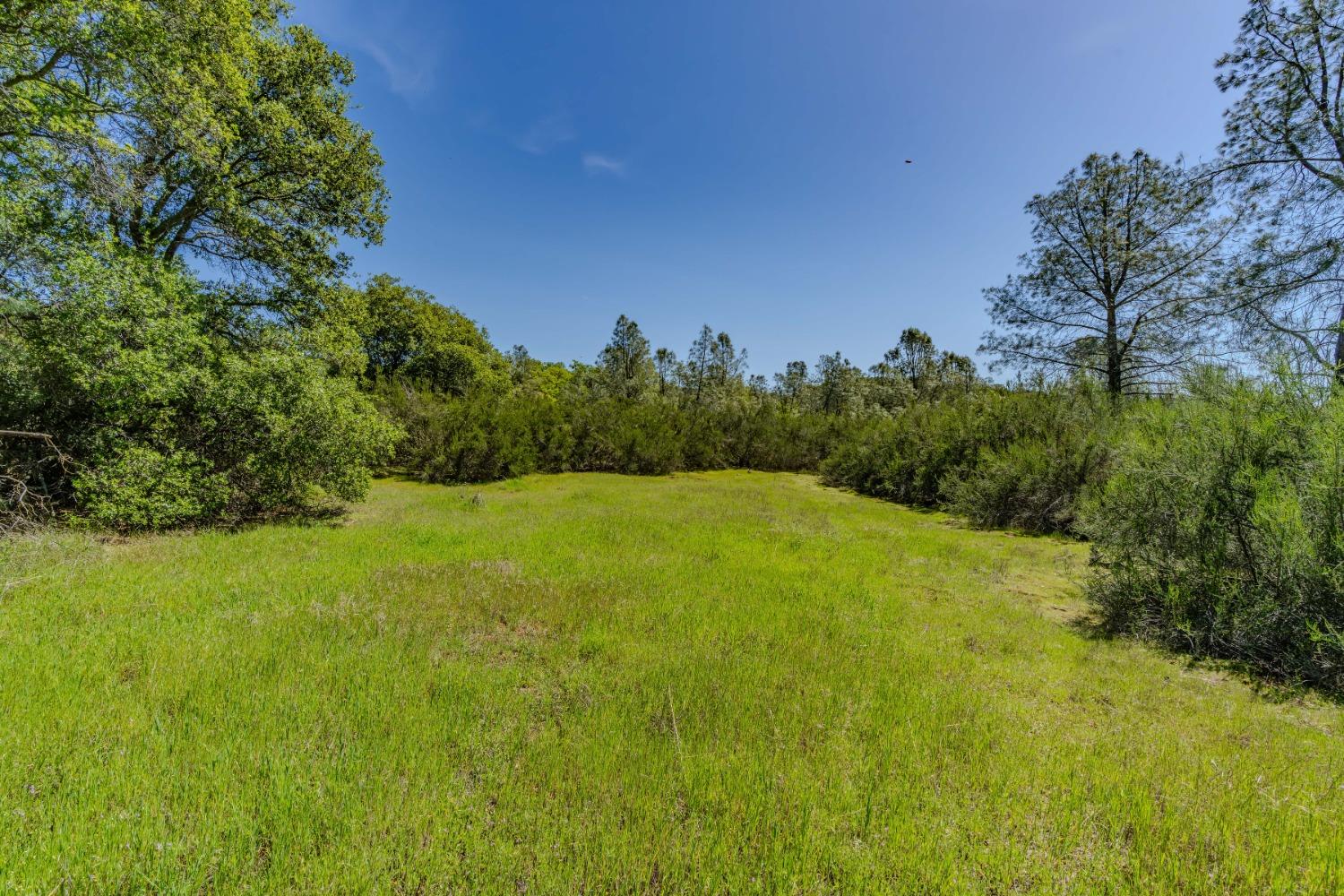 5650 Red Valley Road Ione, CA 95640 - Photo 38 of 64 a view of a large yard with lots of green space