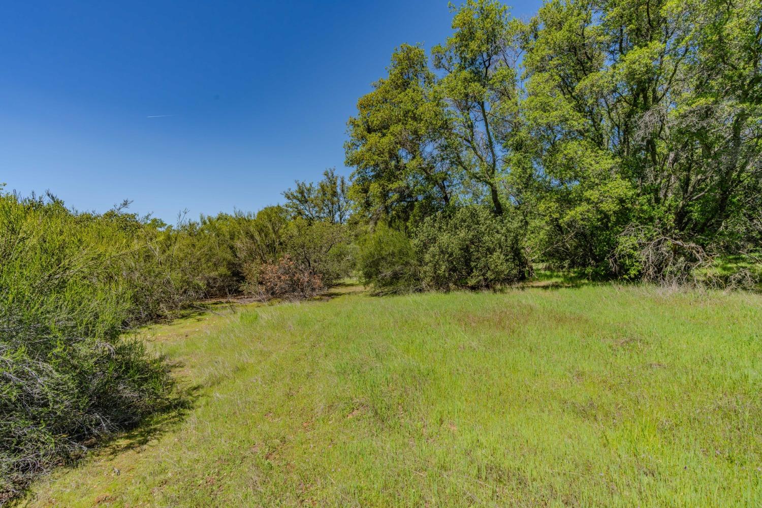 5650 Red Valley Road Ione, CA 95640 - Photo 39 of 64