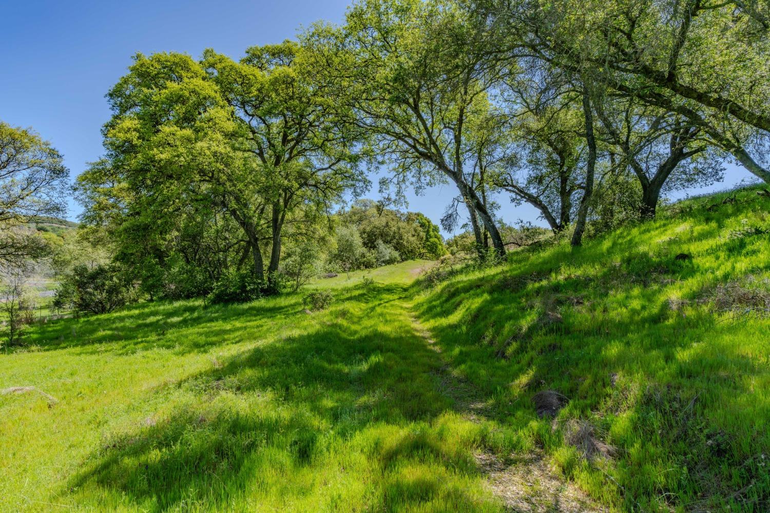 5650 Red Valley Road Ione, CA 95640 - Photo 4 of 64 a view of backyard with green space