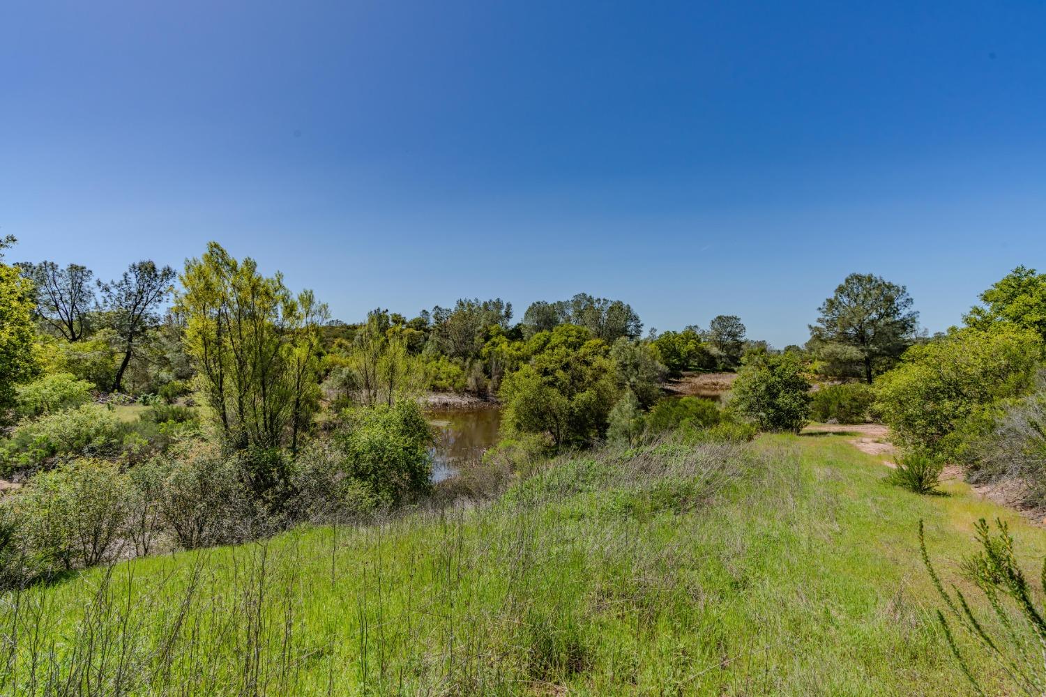 5650 Red Valley Road Ione, CA 95640 - Photo 41 of 64 a view of a yard with a tree