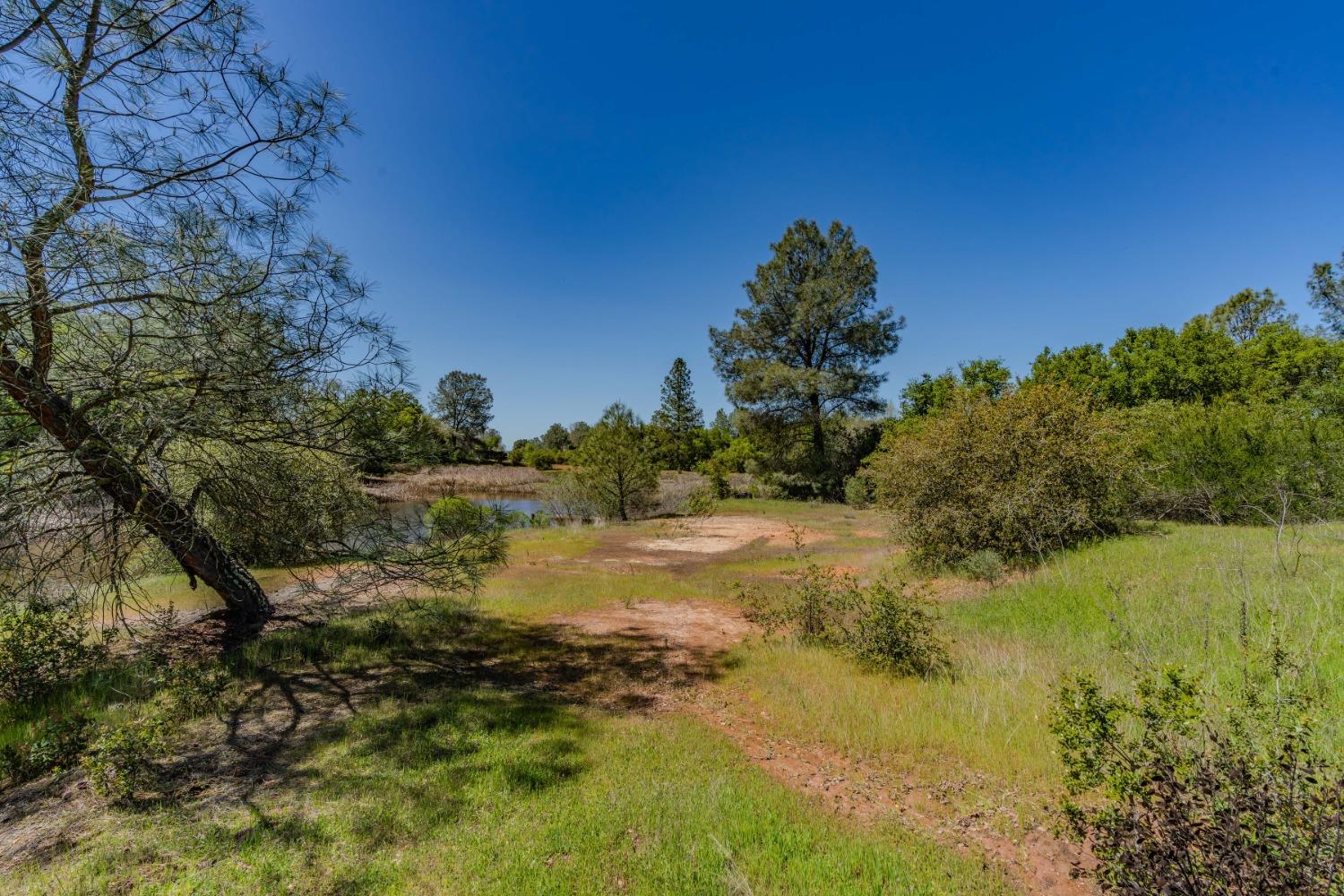 5650 Red Valley Road Ione, CA 95640 - Photo 43 of 64