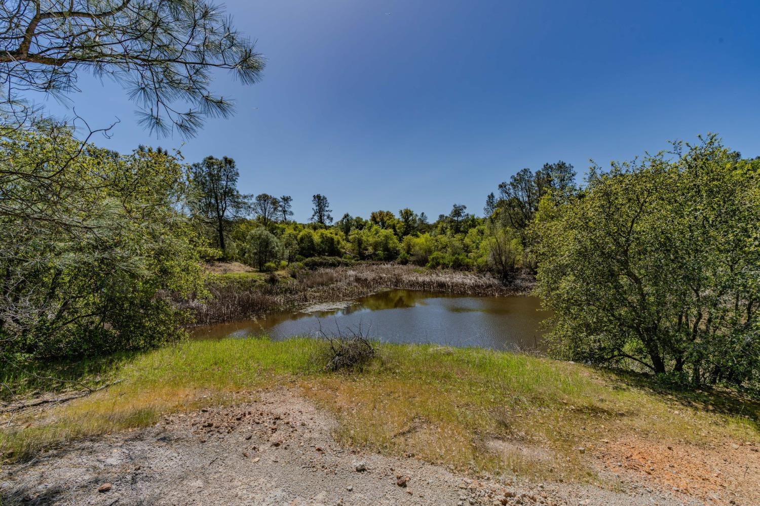 5650 Red Valley Road Ione, CA 95640 - Photo 44 of 64 a view of a lake with houses in the back