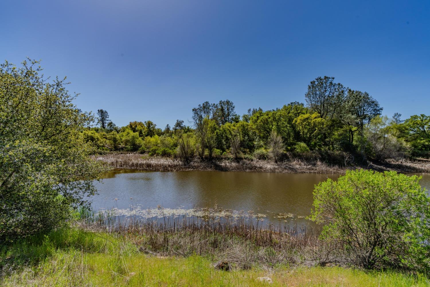 5650 Red Valley Road Ione, CA 95640 - Photo 45 of 64 a view of a lake with houses in the background
