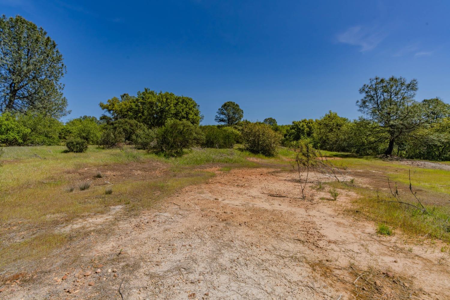5650 Red Valley Road Ione, CA 95640 - Photo 46 of 64 a view of a field with trees in background