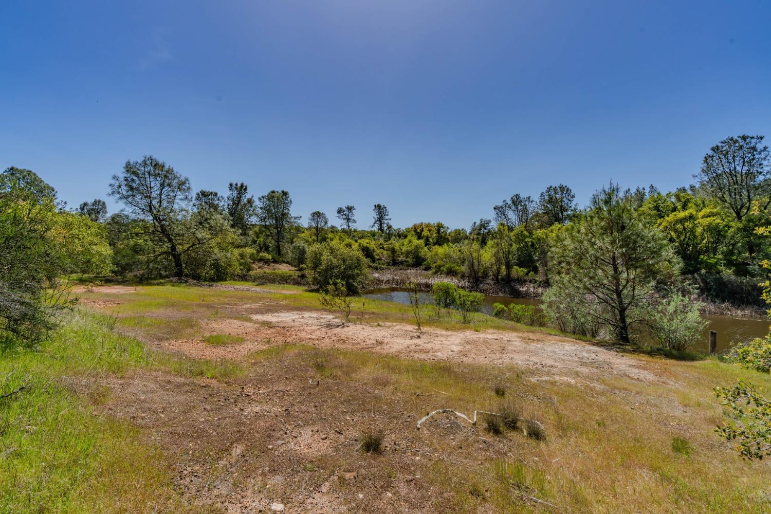 5650 Red Valley Road Ione, CA 95640 - Photo 48 of 64 a view of a yard with a tree