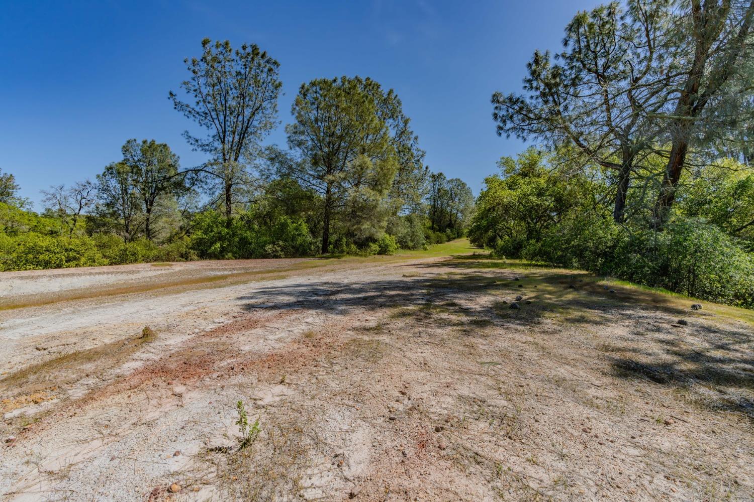 5650 Red Valley Road Ione, CA 95640 - Photo 53 of 64 a view of a yard with a tree