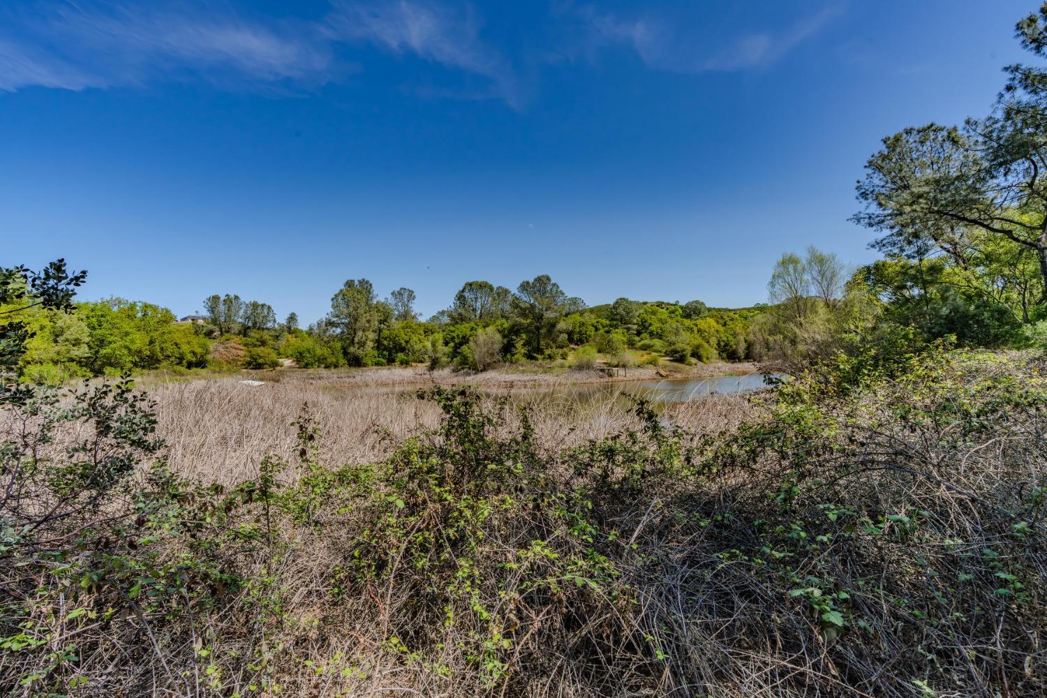 5650 Red Valley Road Ione, CA 95640 - Photo 56 of 64