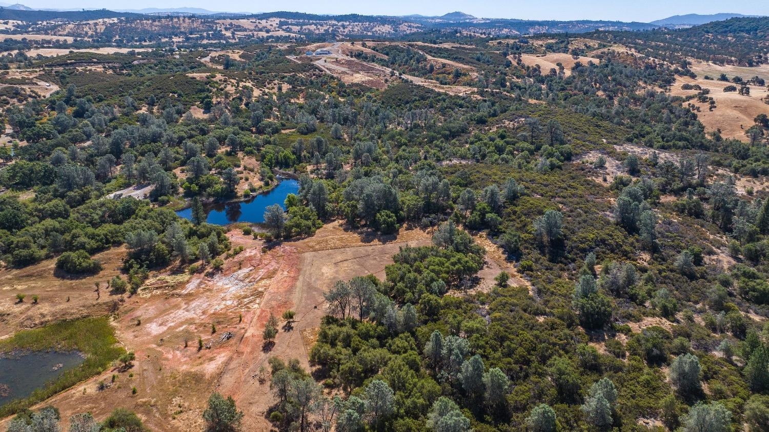 5650 Red Valley Road Ione, CA 95640 - Photo 57 of 64 an aerial view of residential houses with outdoor space and trees