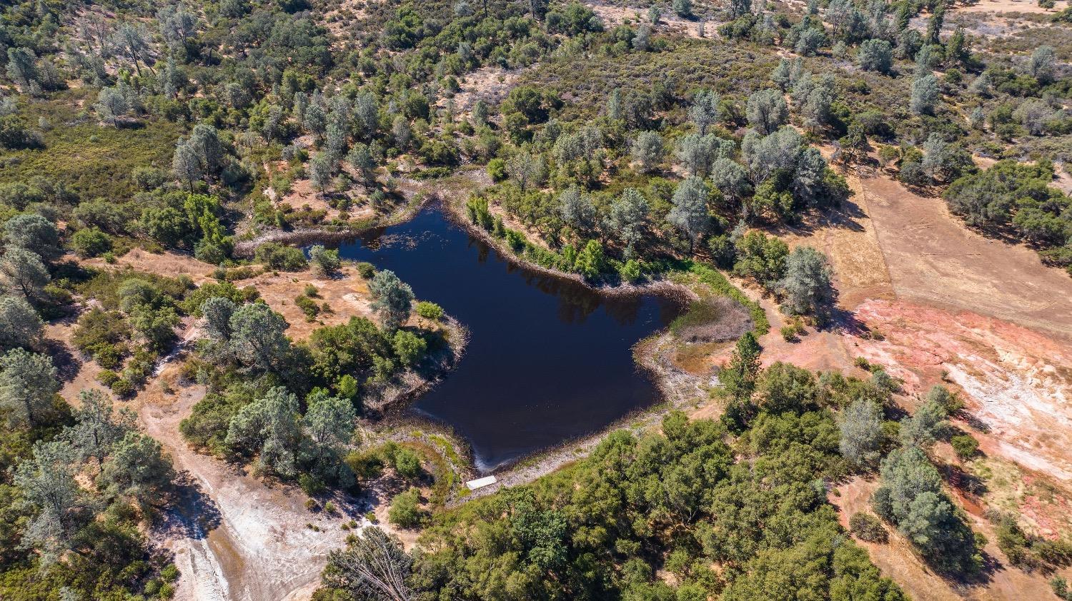 5650 Red Valley Road Ione, CA 95640 - Photo 58 of 64