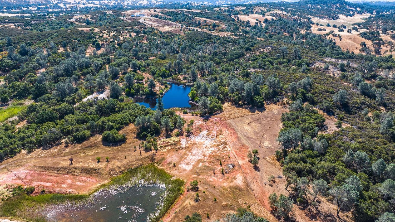 5650 Red Valley Road Ione, CA 95640 - Photo 59 of 64 a view of outdoor space and yard