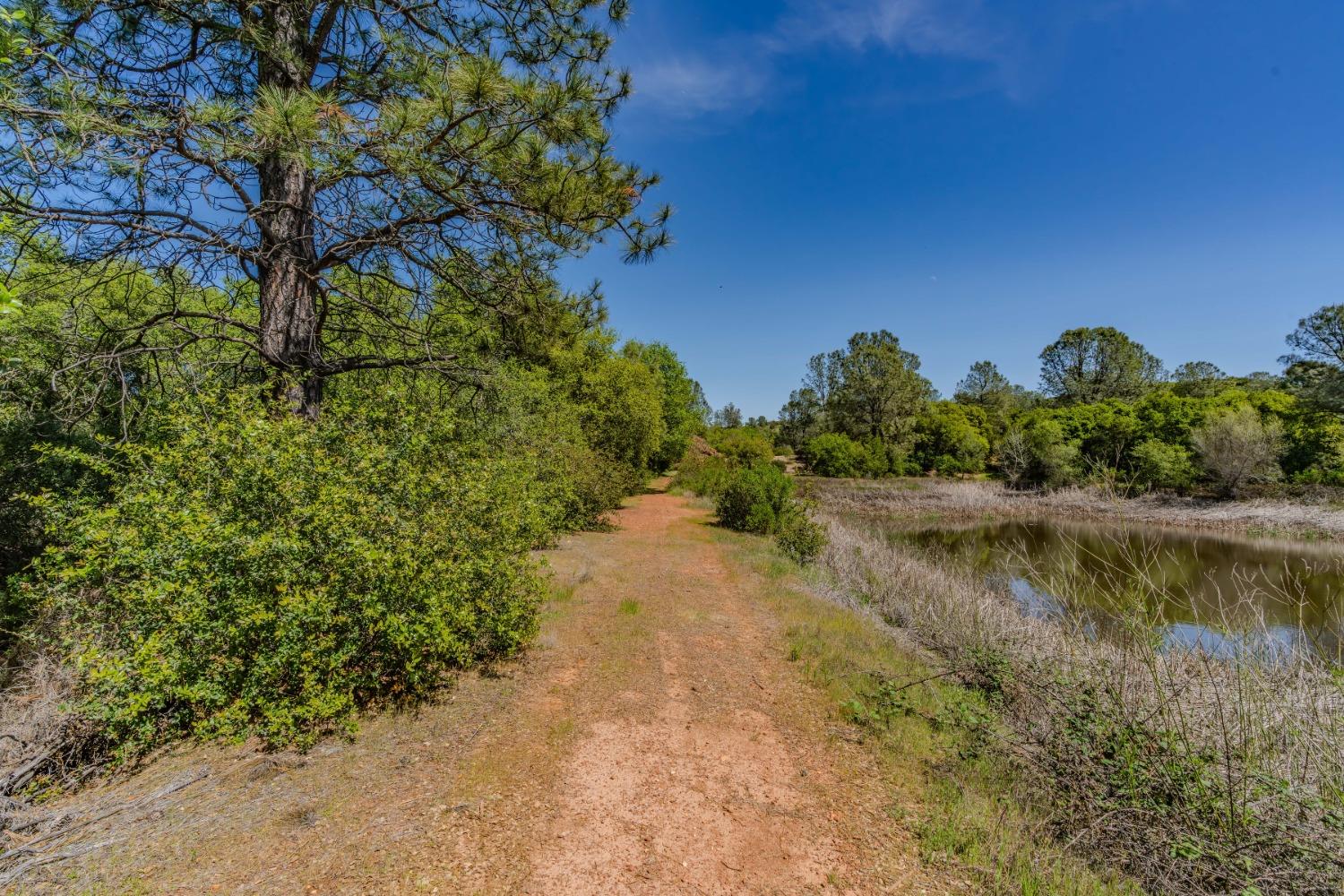 5650 Red Valley Road Ione, CA 95640 - Photo 60 of 64 a view of a lake in between two large trees