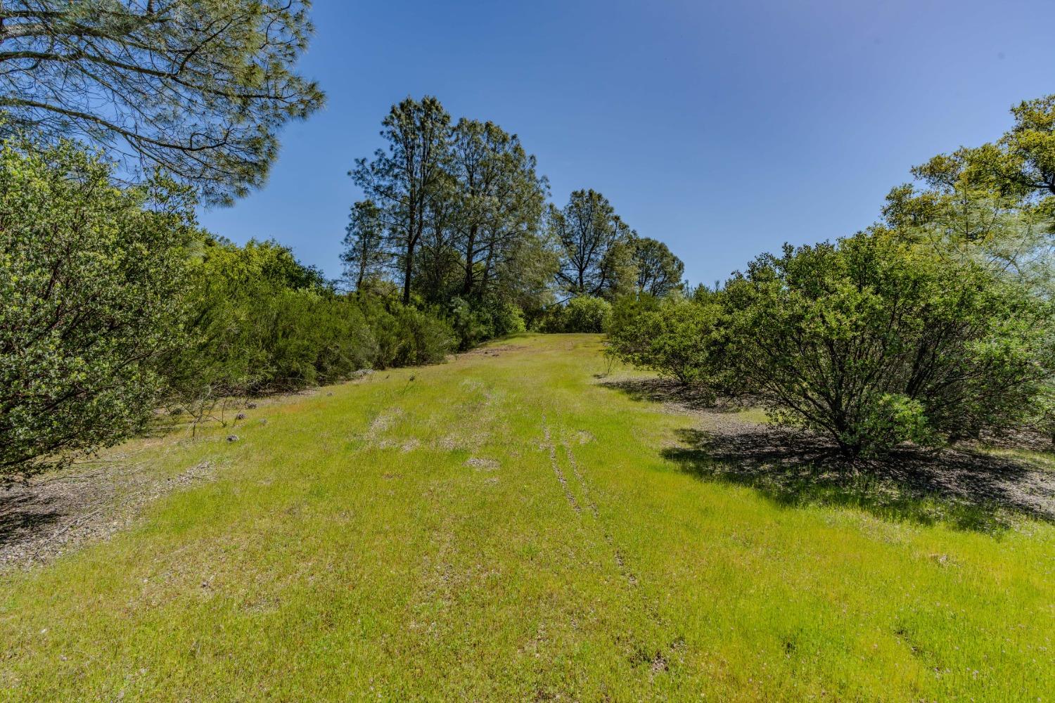 5650 Red Valley Road Ione, CA 95640 - Photo 7 of 64