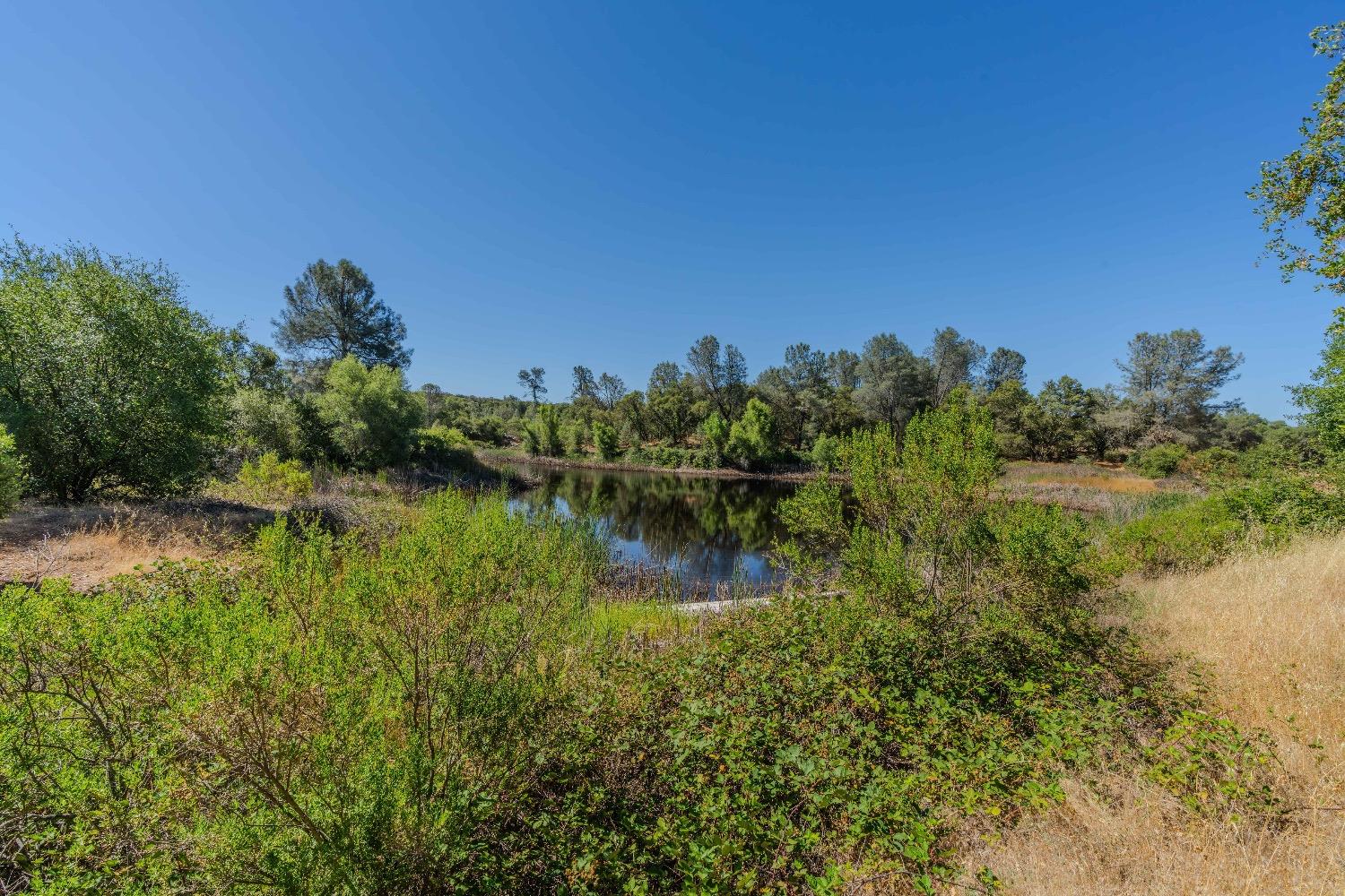 5650 Red Valley Road Ione, CA 95640 - Photo 9 of 64 a view of a lake with a mountain in the background