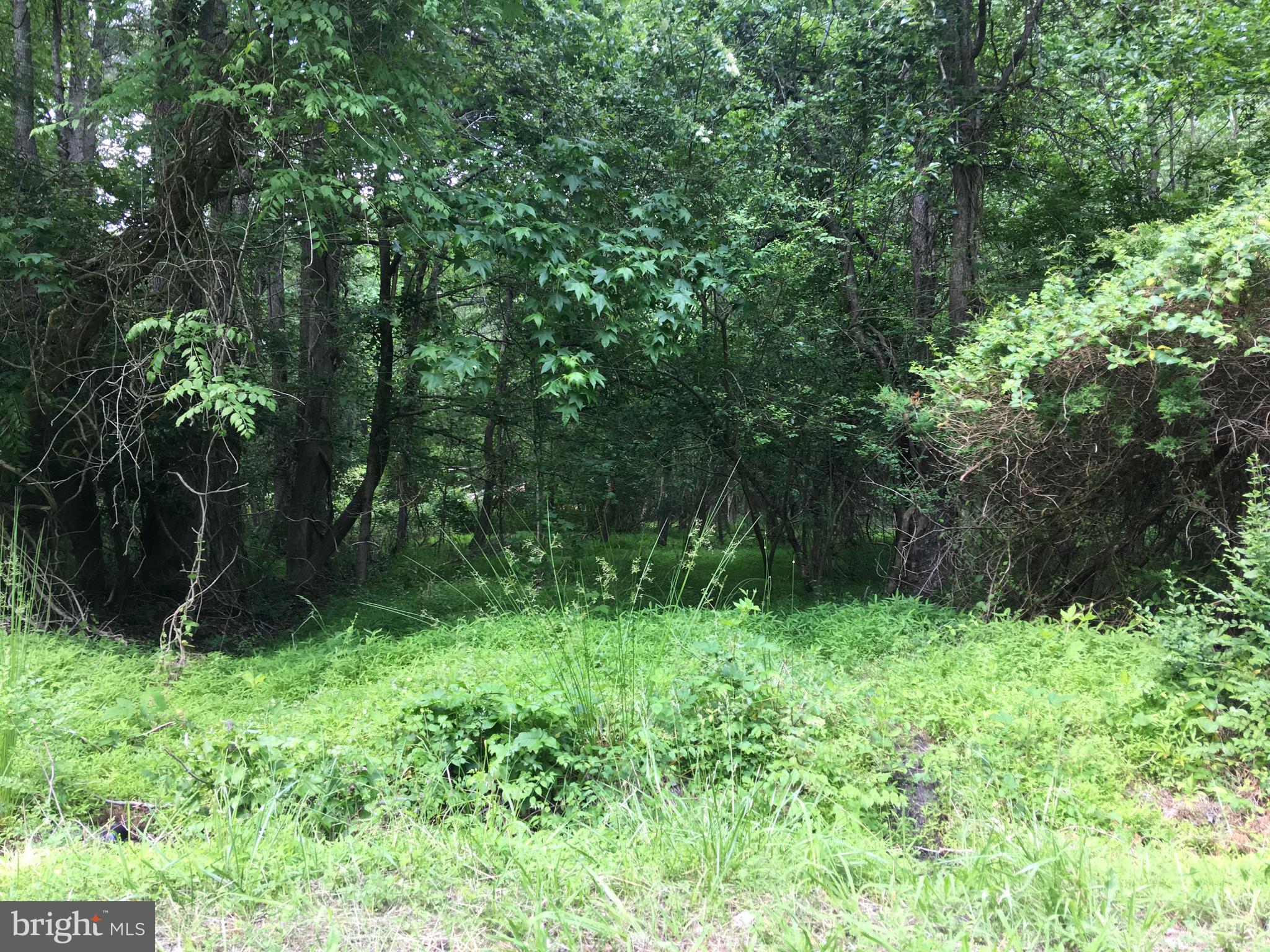 5081 Wayman Road Marion Station, MD 21838 - Photo 2 of 12 West side property line